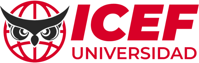 ICEF Universidad